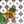 Load image into Gallery viewer, You're a Star Tile Stencil