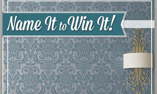 New Damask Stencil: Name It to Win It!