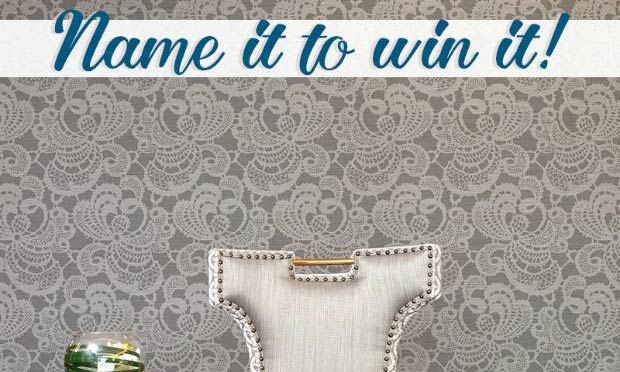 It's Your Chance! Name & Win this Lace Stencil