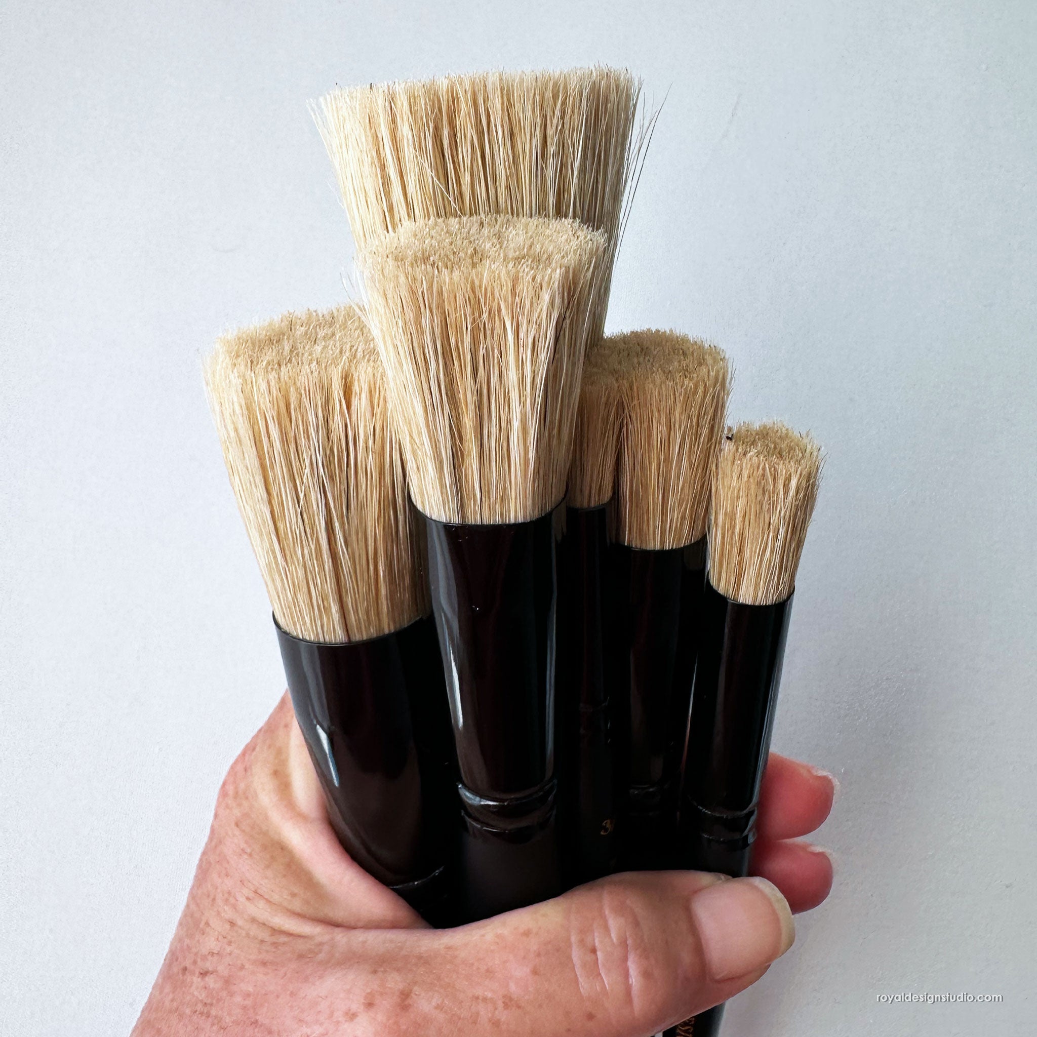 Set of 6 Stencil Brushes