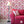Load image into Gallery viewer, Bold Pink Accent Wall using Ikat Stencil Pattern for Painting Walls and Furniture - Royal Design Studio
