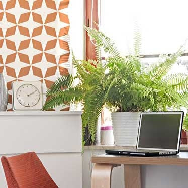 Geometric Moroccan Wall Stencils and Metallic Pattern - Royal Design Studio