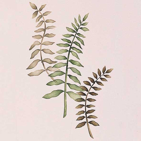 Flower Stencils | Sword Ferns Floral & Vine Wall Mural Stencil from Royal Design Studio