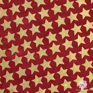 Holiday Christmas Winter Stars Craft Stencils - Royal Design Studio
